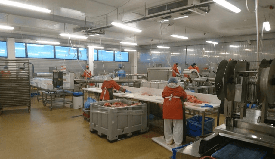 Fish processing industry